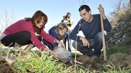 Voluntariado